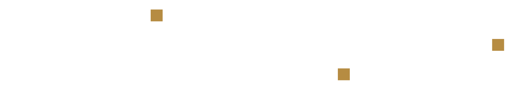 Levigato logo